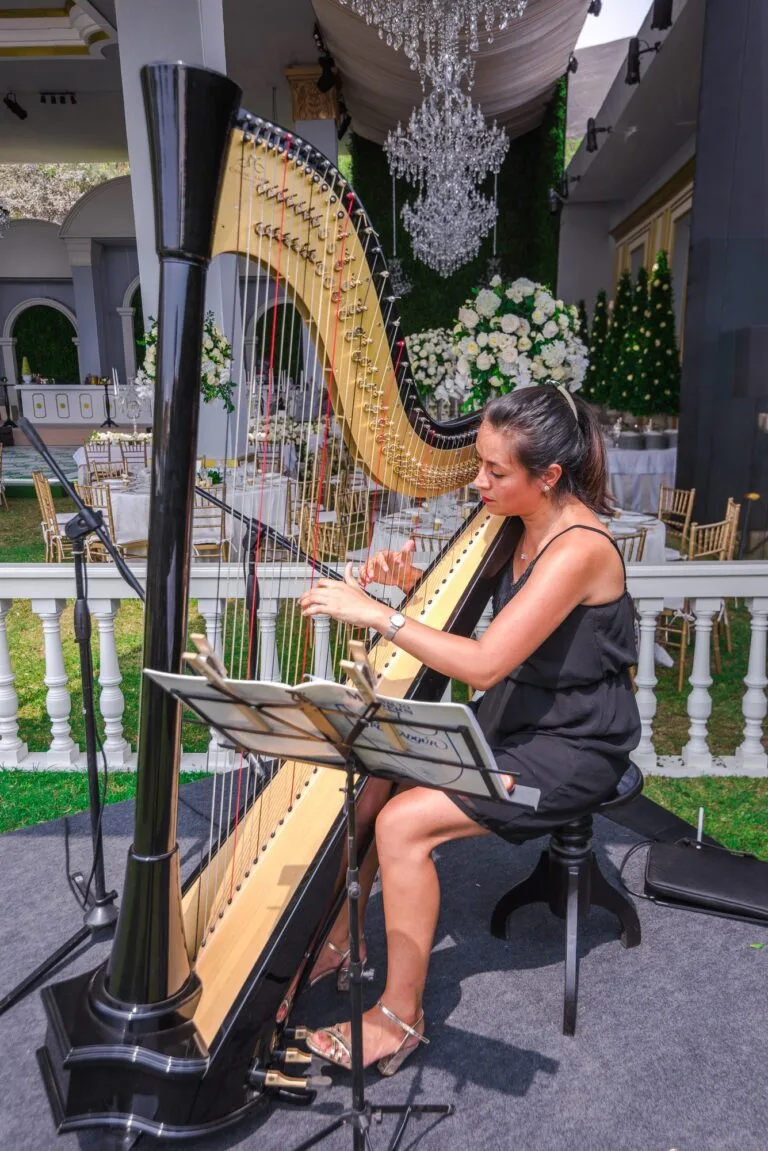 Arpista tocando durante la recepción