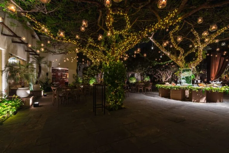 Jardín iluminado con árboles vestidos de luz